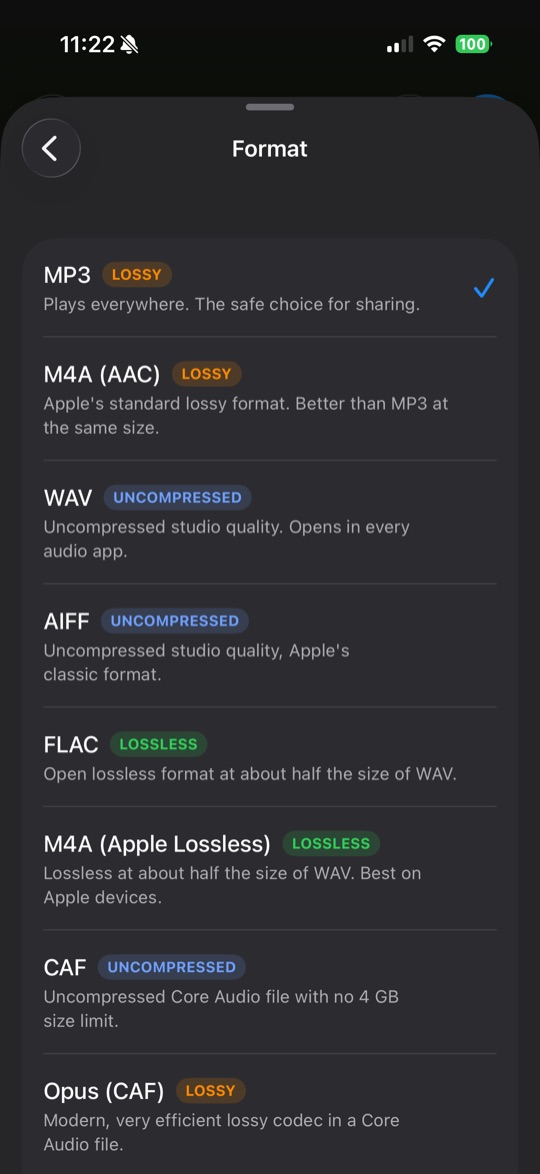 Audio export format picker including MP3, M4A, WAV, AIFF, FLAC, and CAF
